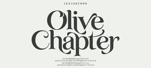 Fototapeta premium Modern luxury beauty font alphabet logo. Typography beautiful minimal elegant classic letter serif fonts fashion wedding vintage retro logos. vector illustration