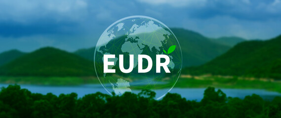 EUDR Environmental Responsibility and drinking coffee in European Union Concept, EU Deforestation...