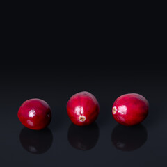 Cranberries in a row, front view and close-up, on a black glass plate. Fresh and ripe, intense red, large cranberries, fruits of Vaccinium macrocarpon, also called bearberries, and American cranberry.