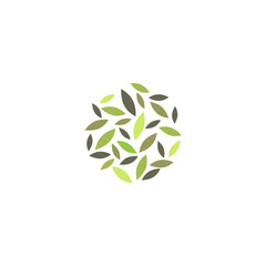 An Evocative Assemblage of Botanical Leaves: A Delicate Circular Composition of Verdant Elements Symbolizing Growth, Wellness, and the Enduring Beauty of Nature, 158 Characters