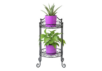 Two-Tier Black Metal Plant Stand with Purple Pots