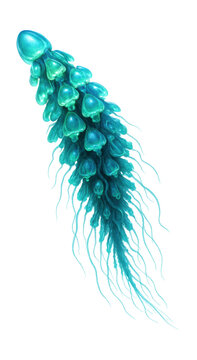 Bioluminescent siphonophore featuring a long, glowing colony of zooids.