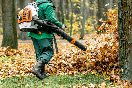 Autumn Leaf Cleaning in the Park