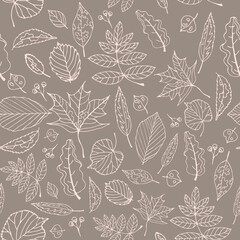 Illustration of leaf contours, seamless pattern for decoration