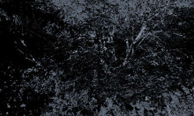 Eerie forest canopy with stark contrasts, perfect for adding a mysterious or dramatic touch to creative projects, a black and white nature background