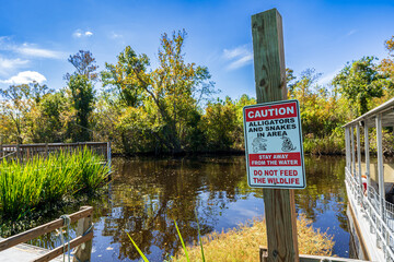 Alligator safety sign near swamp access, South Louisiana, USA