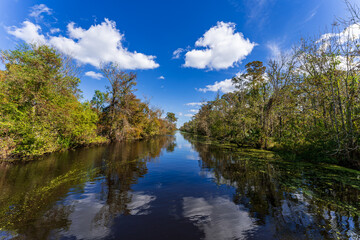 Bayou scenery of South Louisiana, USA