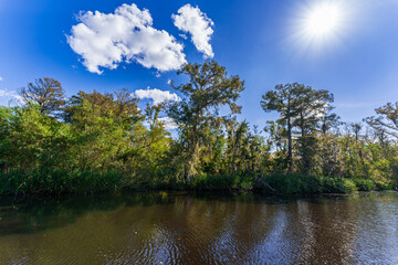 Bayou scenery of South Louisiana, USA