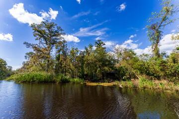 Bayou scenery of South Louisiana, USA
