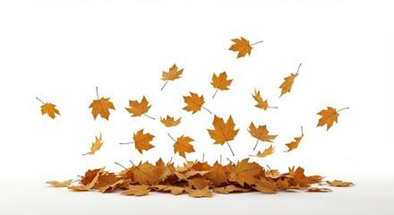 Autumnal Breeze Golden Maple Leaves Falling Against a Clean White Background.