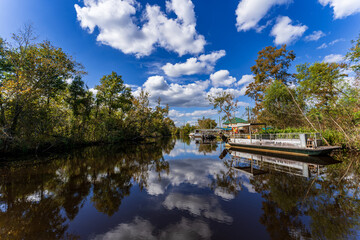 South Louisiana wildlife swamp tour, USA
