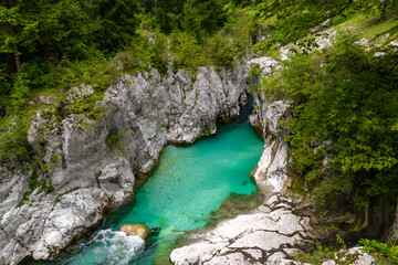 crystal clear turquoise river flowing through a rocky canyon covered by lush greenery. wild untouched alpine nature, cliffs, and crystal