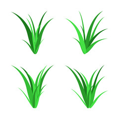 Collection of grass illustration variations