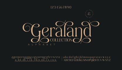 Elegant Font Uppercase Lowercase Number And Ampersand. Classic Lettering Minimal Fashion Designs. Typography modern serif fonts regular decorative vintage concept. vector illustration 