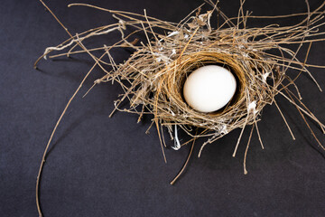 Fragile egg resting inside dry grass nest in indoor light setting