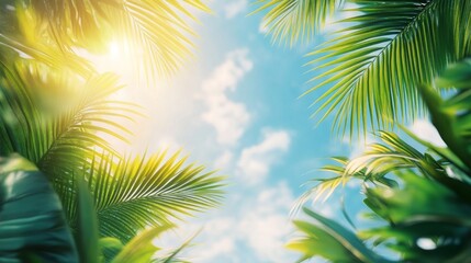 Sunbeams filter through palm leaves, creating the atmosphere of a tropical paradise.
Use in tourist brochures, travel articles, tropical-style interior design, and resort advertising.