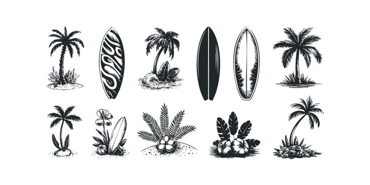 Collection of palm trees and surfboards on white background