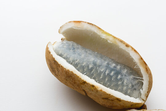 アケビの実を白い紙の上で室内撮影08