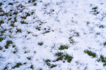frozen ground with vehicle tracks