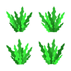 Collection of grass illustration variations