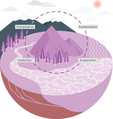 Diagram illustrating the water cycle with precipitation evaporation and collection condensation