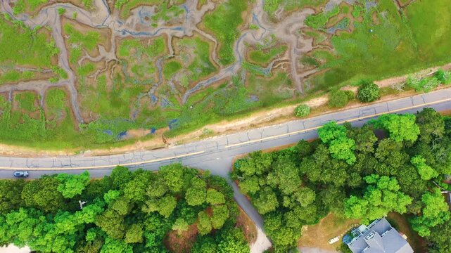Top-down drone view captures winding tidal streams weaving through vibrant green marsh grasses and sandy patches, creating abstract natural shapes visible only from above.