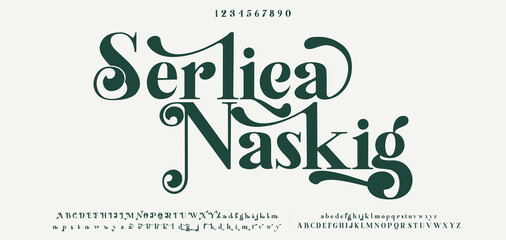 Luxury alphabet letters font. Typography elegant wedding classic lettering serif fonts decorative vintage retro concept.