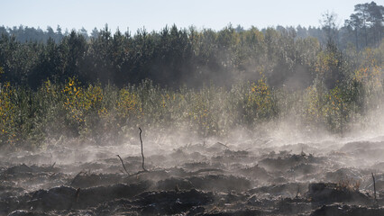 AUTUMN LANDSCAPES - Steaming earth in the forest on a cool morning in the sunshine
