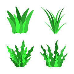 Collection of grass illustration variations