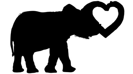 Obraz premium A silhouette of an elephant using its trunk to form a heart shape against a white backdrop
