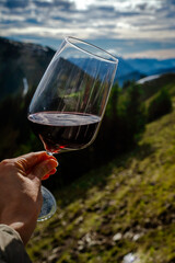 The photo shows a glass of wine held in front of a panoramic view of the Alps. Mountains are visible in the background, daylight conditions, clear sky, outdoor setting, European alpine landscape.