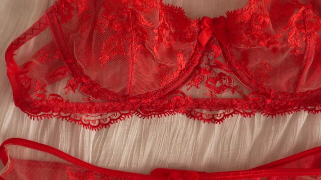 Women's set of erotic and beautiful lingerie. Red transparent bra, suspenders and thongs with red lace. Elegant gift