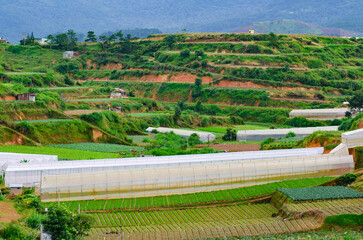farming plots of land, central Vietnam