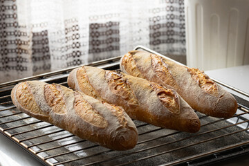A French traditional baguette in a baking tray after baked with crusty surface.