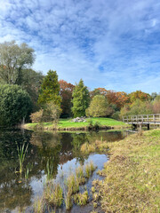 autumn landscape with lake and trees