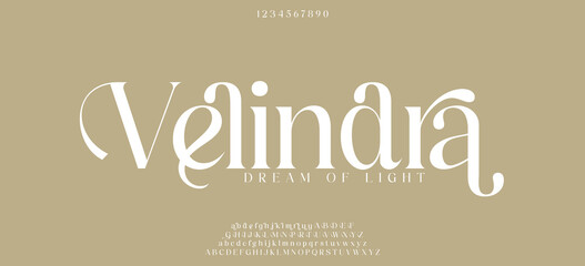 Elegant Modern beauty font alphabet logo. Typography beautiful luxury minimal elegant serif fonts fashion wedding vintage retro logos. vector illustration