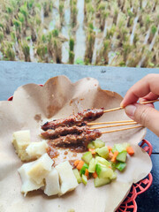 Hand Picking Grilled Indonesian Beef Satay Served with Peanut Sauce and Rice Cakes Outdoors