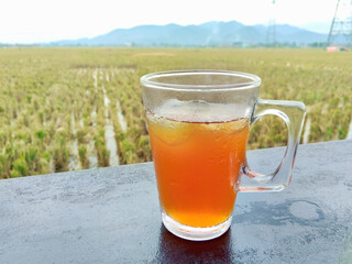 Refreshing Glass of Cold Iced Tea Served Outdoors With a Scenic Rural Paddy Field View