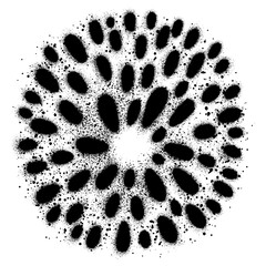 firework graffiti with black spray paint.vector illustration.