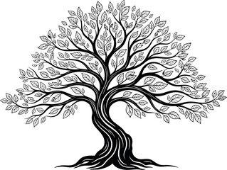 Obraz premium Intricate black and white line art majestic tree with detailed branches and leaves vector