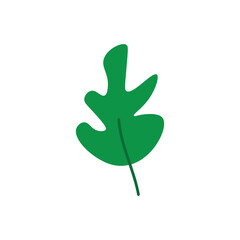 leaf, star, abstract, vector, shape, foliage, nature, plant, green, eco, modern, flat, design, minimal, tropical, organic, illustration, clean, decorative, art, natural, flora, environment, simple, pa