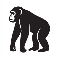 Obraz premium Silhouette chimpanzee ape walking on ground simple black Vector illustration
