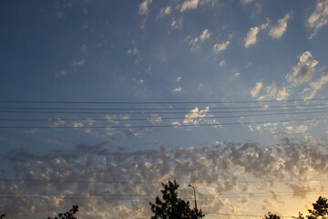 Sky with beautiful cumulus clouds and treetops. Sunset sky. Nature photo