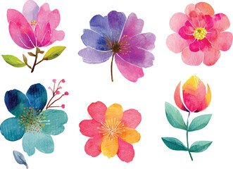 set of colorful flowers clipart