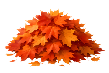 Vibrant pile of autumn maple leaves evokes cozy fall feelings, perfect for seasonal designs and Thanksgiving celebrations, rich orange and gold hues