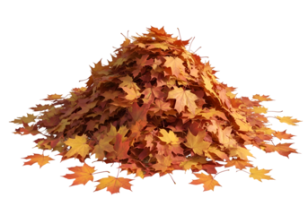 Abundant autumn foliage featuring vibrant maple leaves, evoking feelings of warmth and nostalgia perfect for seasonal designs and inviting nature themes