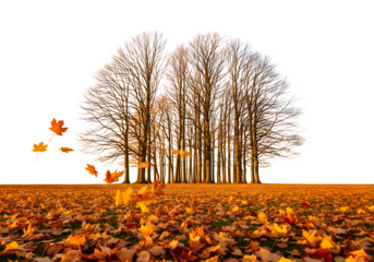 Golden autumn leaves falling gently among bare trees, creating a peaceful seasonal scene, ideal for Thanksgiving, fall festivals, and cozy autumn projects