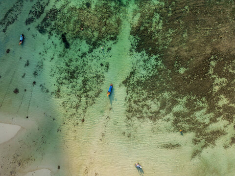 Aerial view of boats floating on the clear turquoise water, amidst the sandy shores and coral reefs, creating a mesmerizing contrast of colors, textures, and tones, phi phi, Krabi, Thailand.