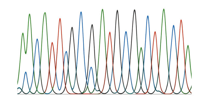 Sanger sequencing graph showing mixed nucleotide peaks.