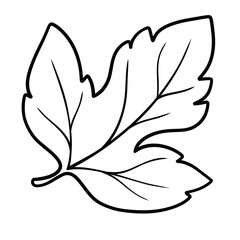 Maple Leaf Line Drawing